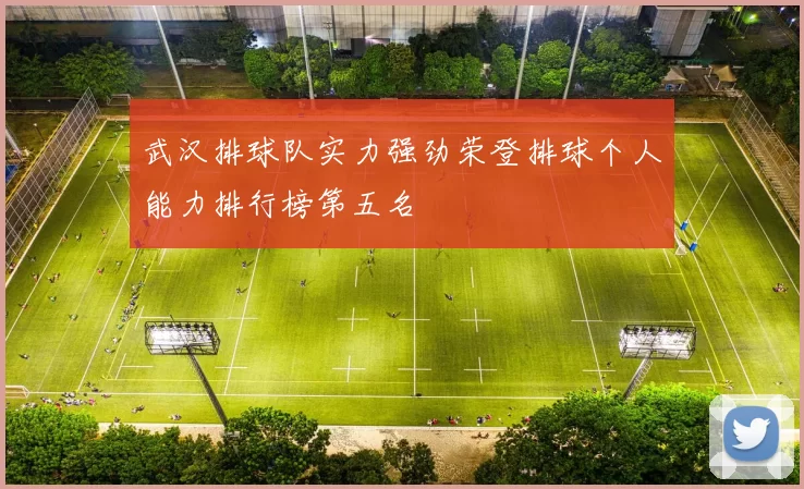 武汉排球队实力强劲荣登排球个人能力排行榜第五名