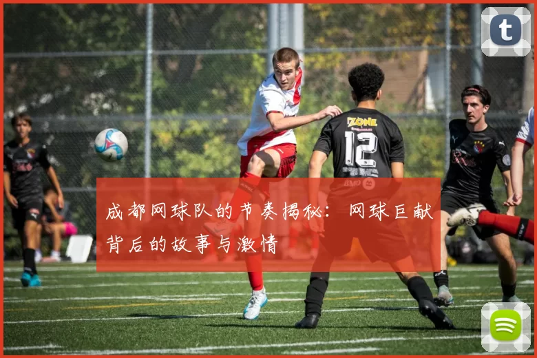 成都网球队的节奏揭秘：网球巨献背后的故事与激情