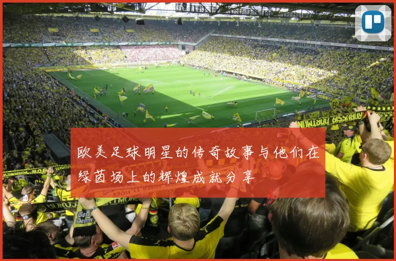 欧美足球明星的传奇故事与他们在绿茵场上的辉煌成就分享