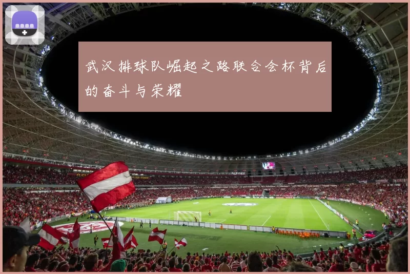 武汉排球队崛起之路联合会杯背后的奋斗与荣耀