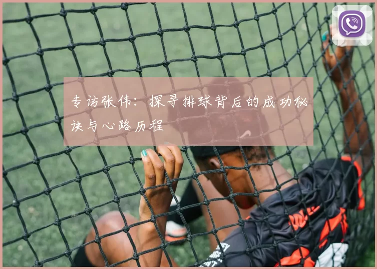 专访张伟：探寻排球背后的成功秘诀与心路历程