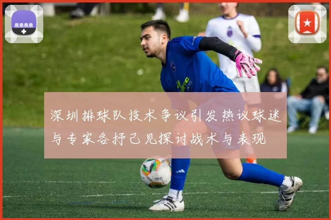 深圳排球队技术争议引发热议球迷与专家各抒己见探讨战术与表现
