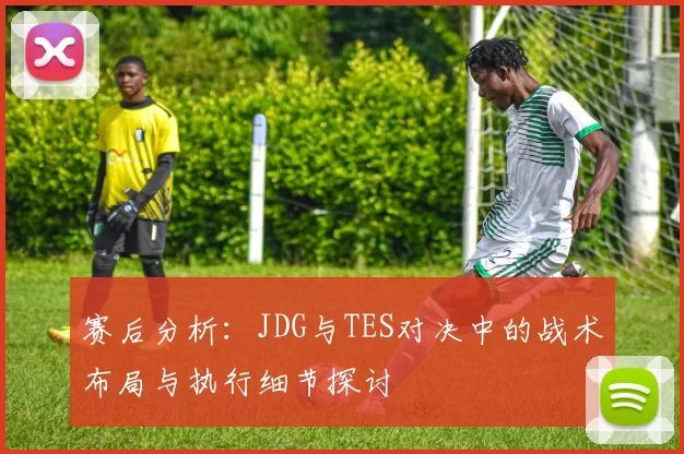赛后分析：JDG与TES对决中的战术布局与执行细节探讨
