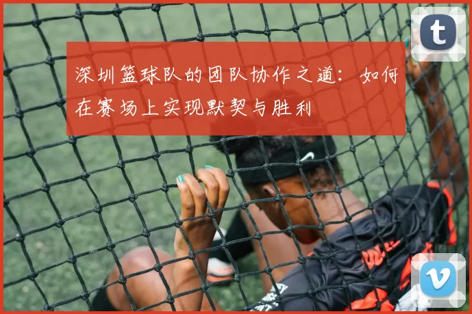深圳篮球队的团队协作之道：如何在赛场上实现默契与胜利