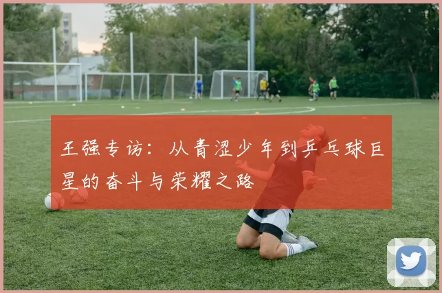 王强专访：从青涩少年到乒乓球巨星的奋斗与荣耀之路
