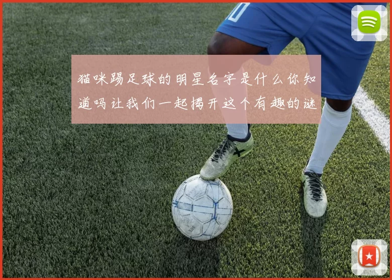猫咪踢足球的明星名字是什么你知道吗让我们一起揭开这个有趣的谜团吧