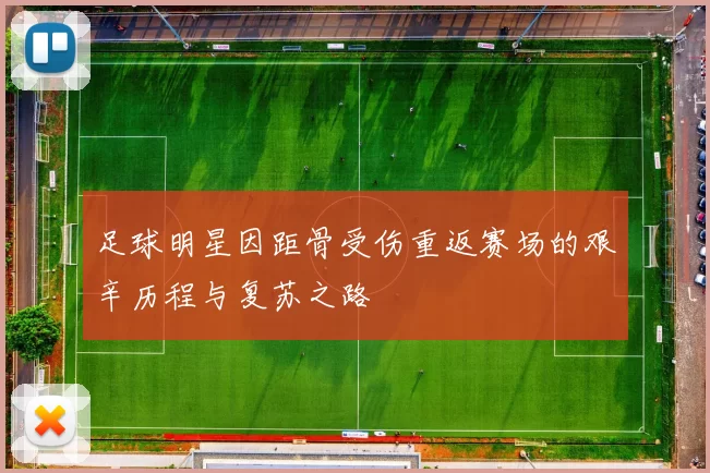 足球明星因距骨受伤重返赛场的艰辛历程与复苏之路