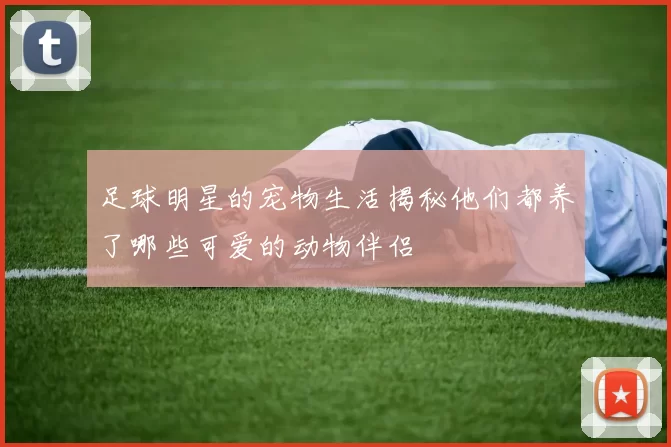 足球明星的宠物生活揭秘他们都养了哪些可爱的动物伴侣