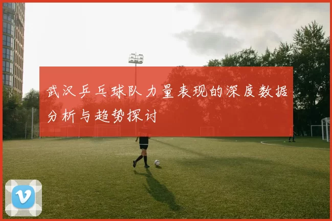 武汉乒乓球队力量表现的深度数据分析与趋势探讨