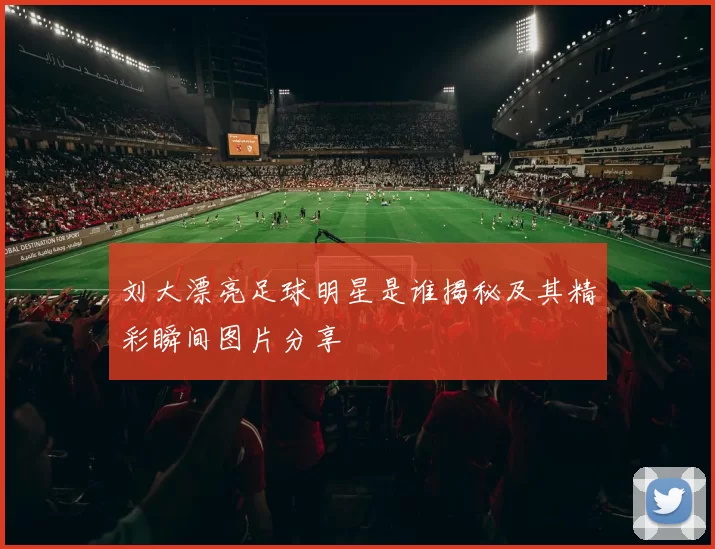 刘大漂亮足球明星是谁揭秘及其精彩瞬间图片分享