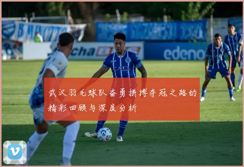 武汉羽毛球队奋勇拼搏夺冠之路的精彩回顾与深度分析
