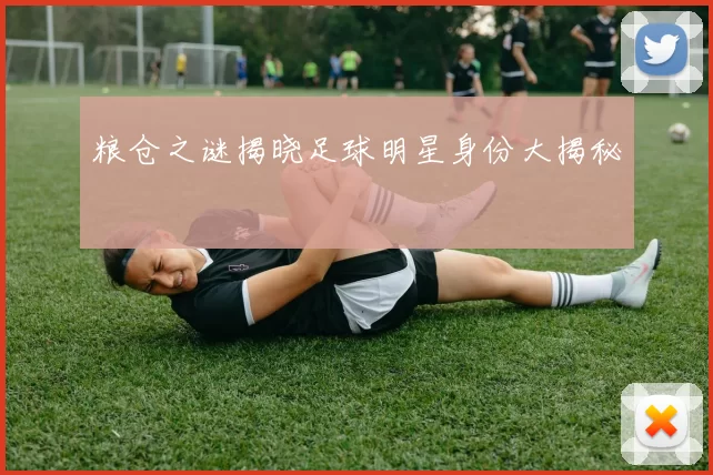 粮仓之谜揭晓足球明星身份大揭秘
