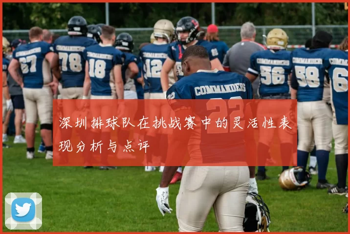 深圳排球队在挑战赛中的灵活性表现分析与点评