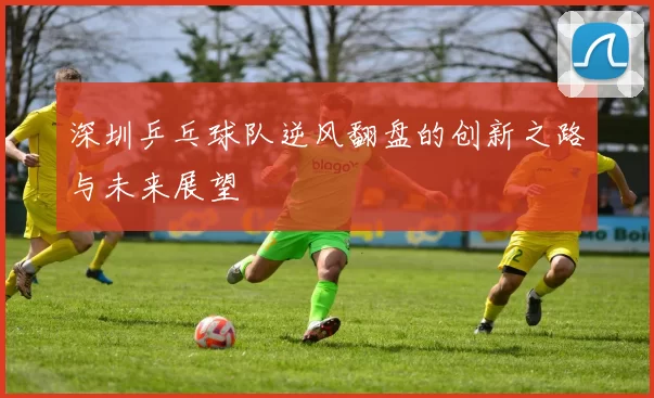 深圳乒乓球队逆风翻盘的创新之路与未来展望