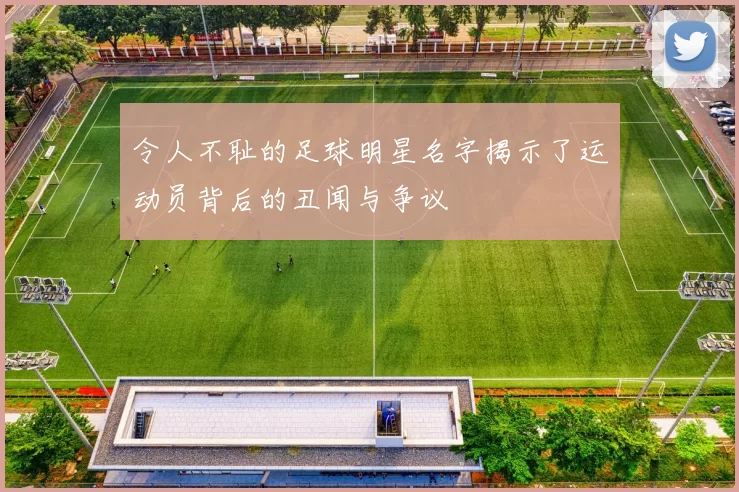 令人不耻的足球明星名字揭示了运动员背后的丑闻与争议