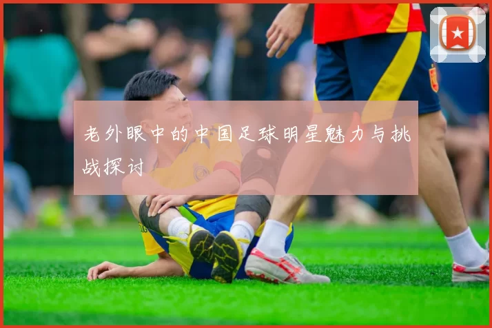 老外眼中的中国足球明星魅力与挑战探讨