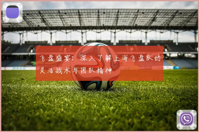飞盘盛宴：深入了解上海飞盘队的灵活战术与团队精神