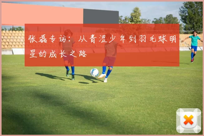 张磊专访：从青涩少年到羽毛球明星的成长之路