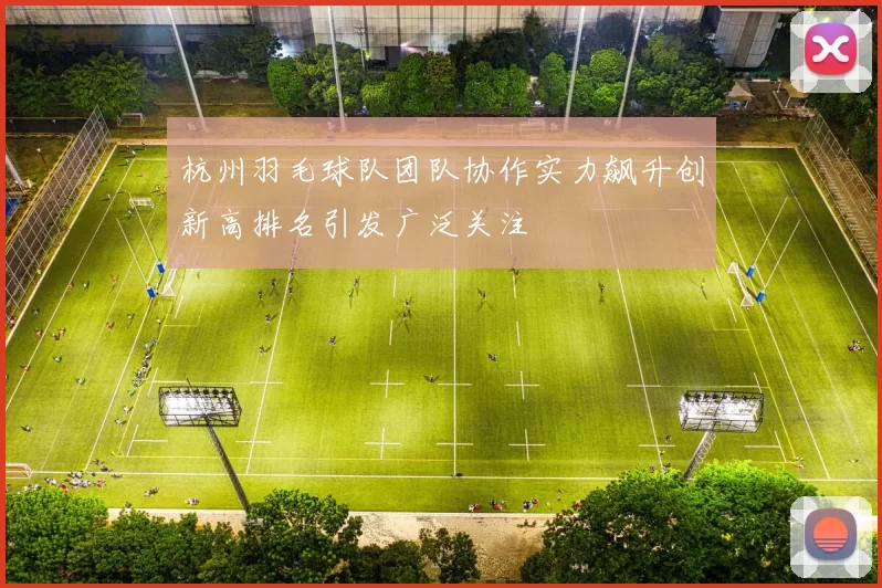杭州羽毛球队团队协作实力飙升创新高排名引发广泛关注