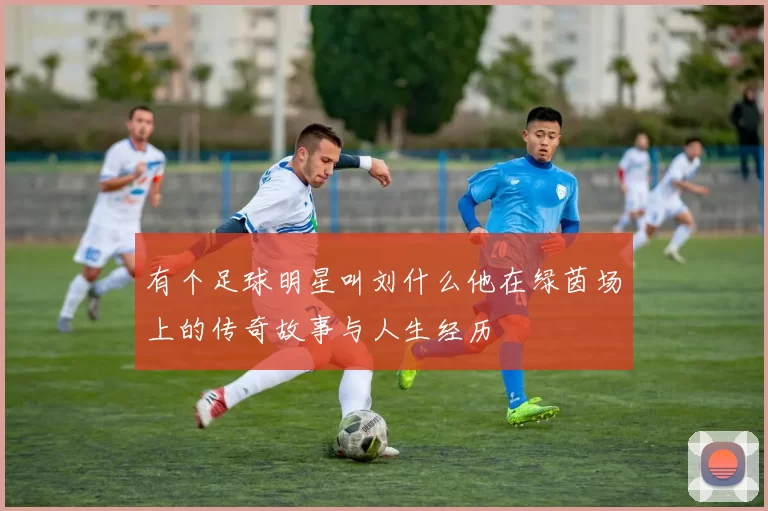 有个足球明星叫刘什么他在绿茵场上的传奇故事与人生经历