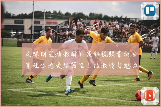 足球明星精彩瞬间集锦视频素材分享让你感受绿茵场上的激情与魅力