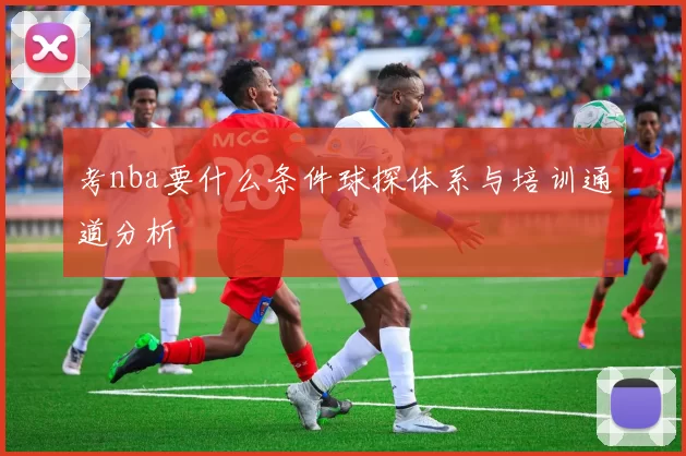考nba要什么条件球探体系与培训通道分析