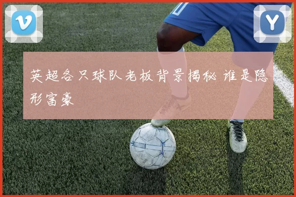 英超各只球队老板背景揭秘 谁是隐形富豪