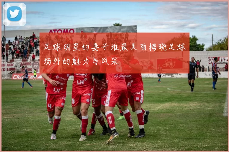 足球明星的妻子谁最美丽揭晓足球场外的魅力与风采